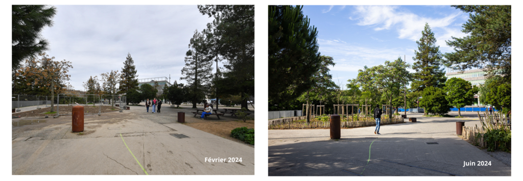 avant apres parc des chantiers vegetalisation ile de nantes 1024x355 - Plus de nature sur le parc des Chantiers et la pointe ouest de l'île de Nantes